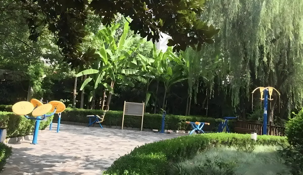 重生之美丽生活